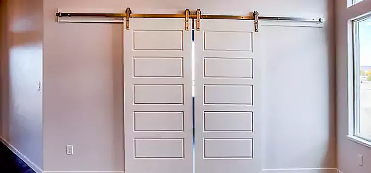 Glass Barn Door with Installation Hardware Kit Pomona