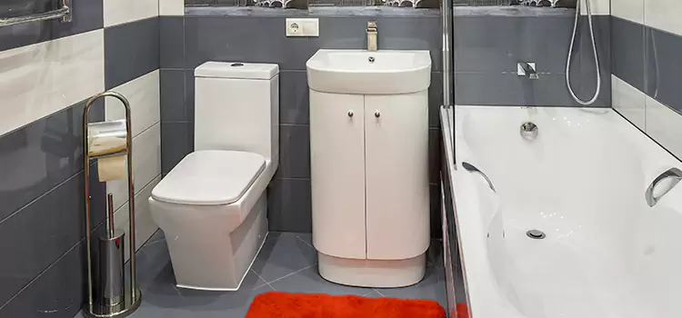Hansgrohe Shaving Mirror Pomona
